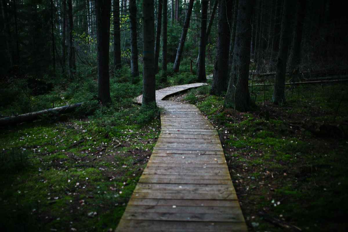 Natalie, woman of forest and sea. Виктория Дини. Арт-фотография
