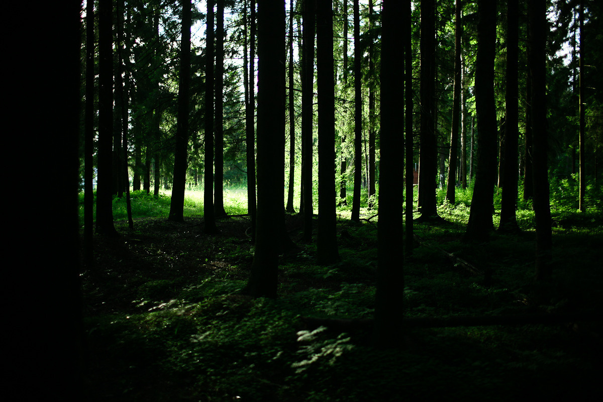 Прежде чем ты пришел. Виктория Дини. Арт-фотография