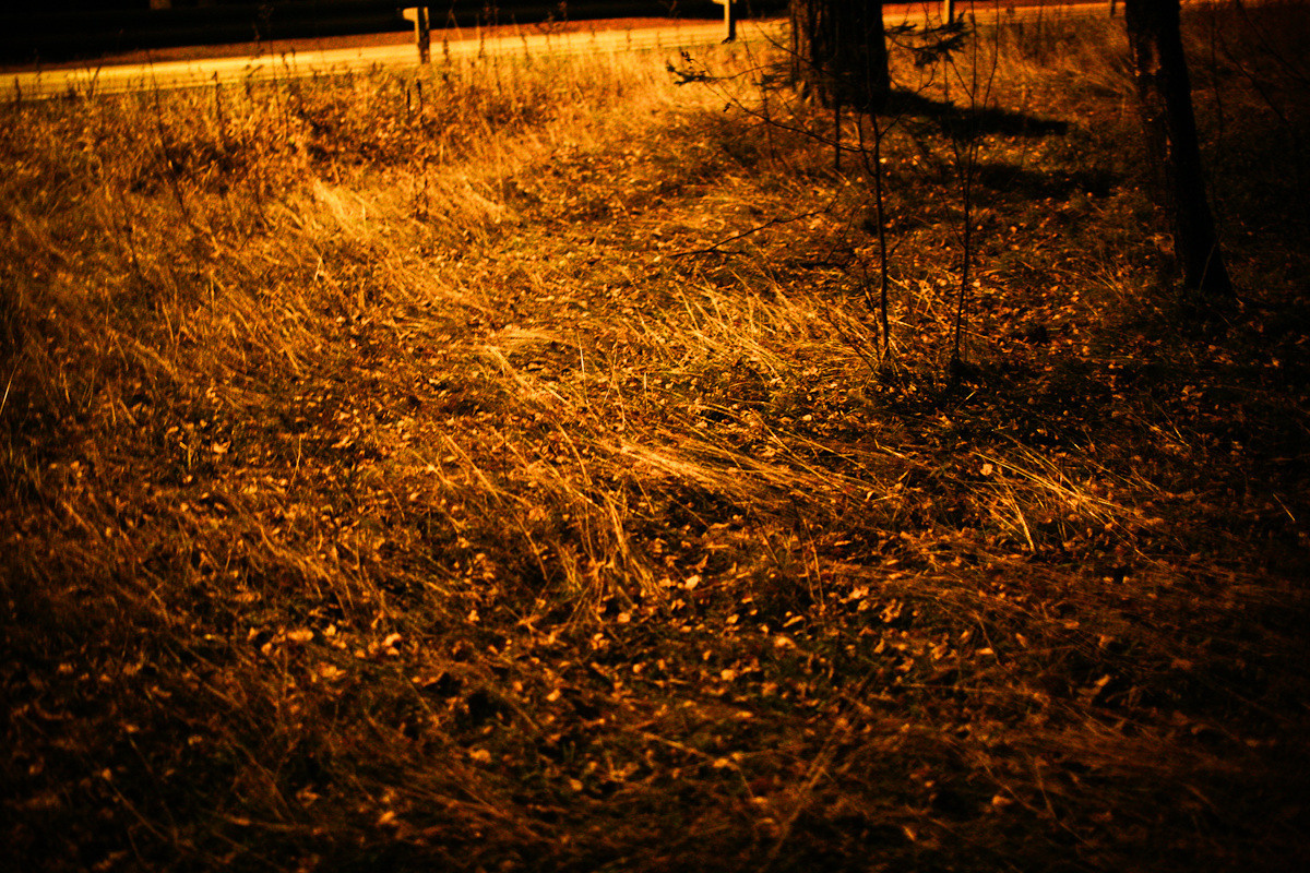 Natalie, woman of forest and sea. Виктория Дини. Арт-фотография