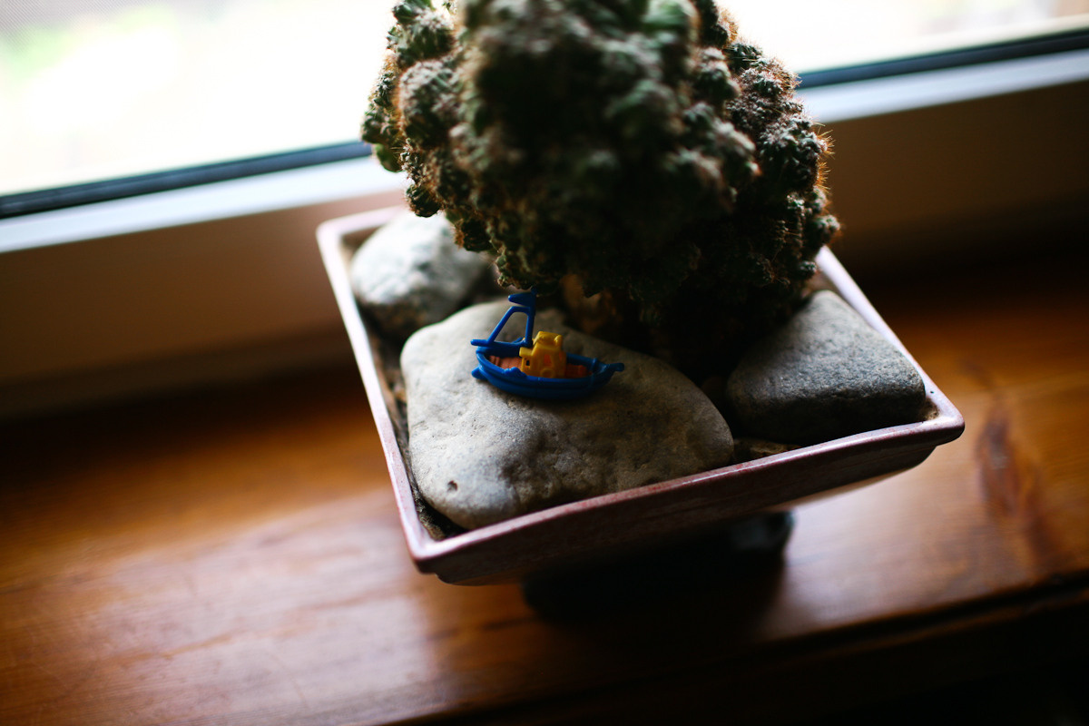 Прежде чем ты пришел. Виктория Дини. Арт-фотография