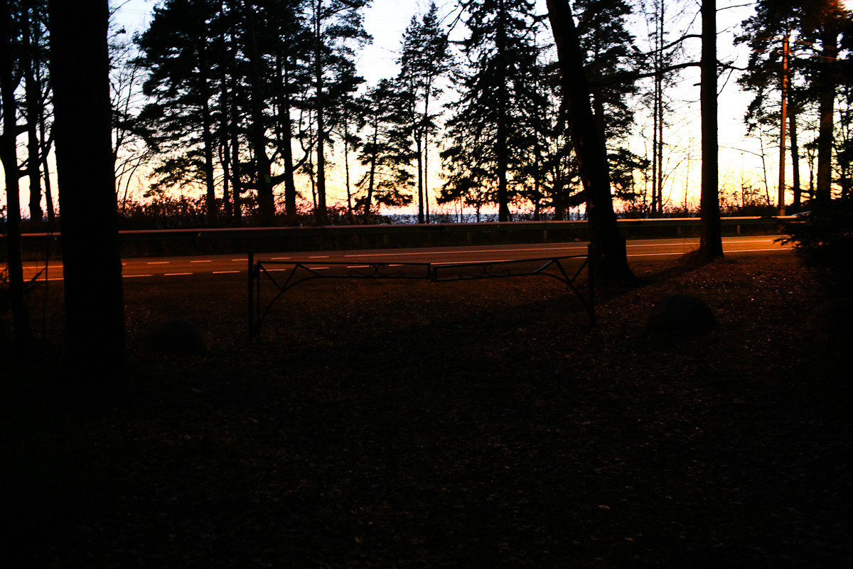 Natalie, woman of forest and sea. Виктория Дини. Арт-фотография