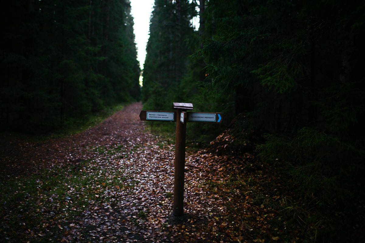 Natalie, woman of forest and sea. Виктория Дини. Арт-фотография