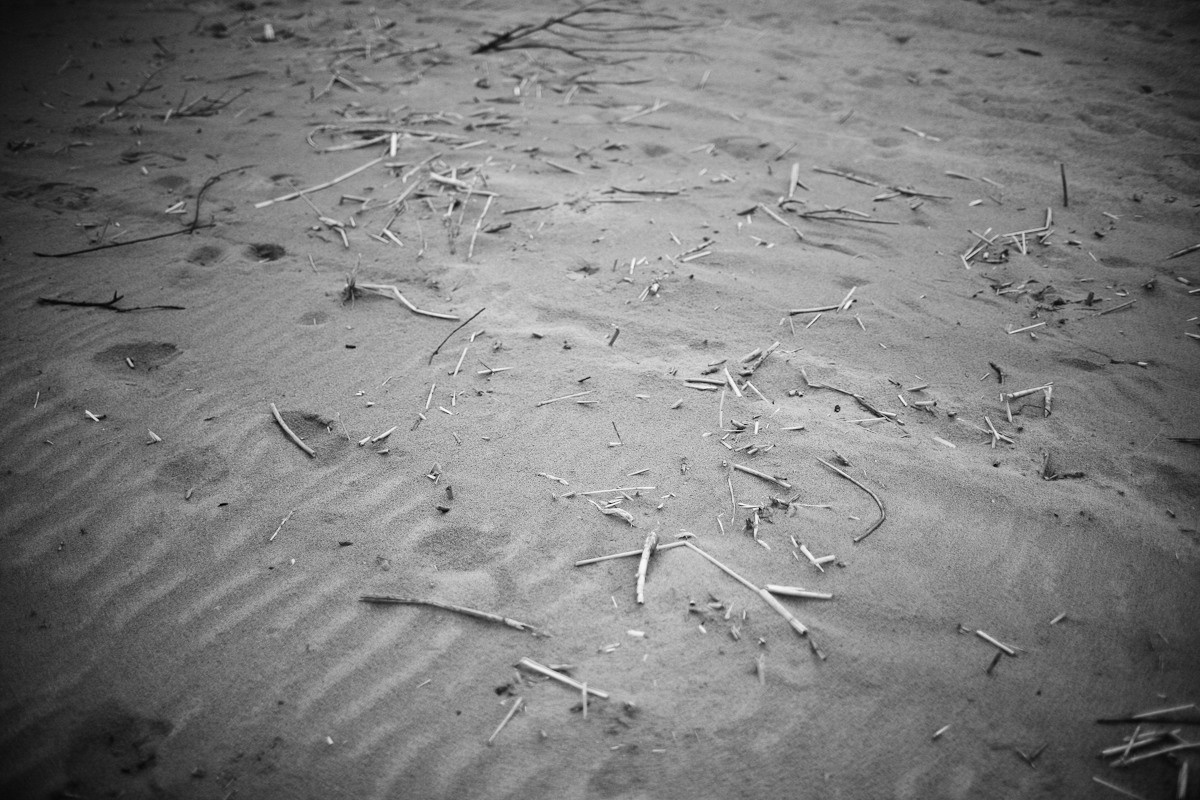 Прежде чем ты пришел. Виктория Дини. Арт-фотография