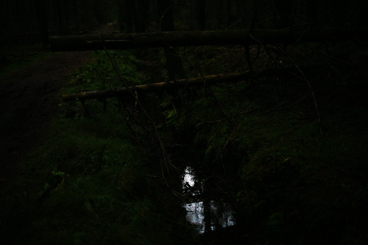 Natalie, woman of forest and sea. Виктория Дини. Арт-фотография