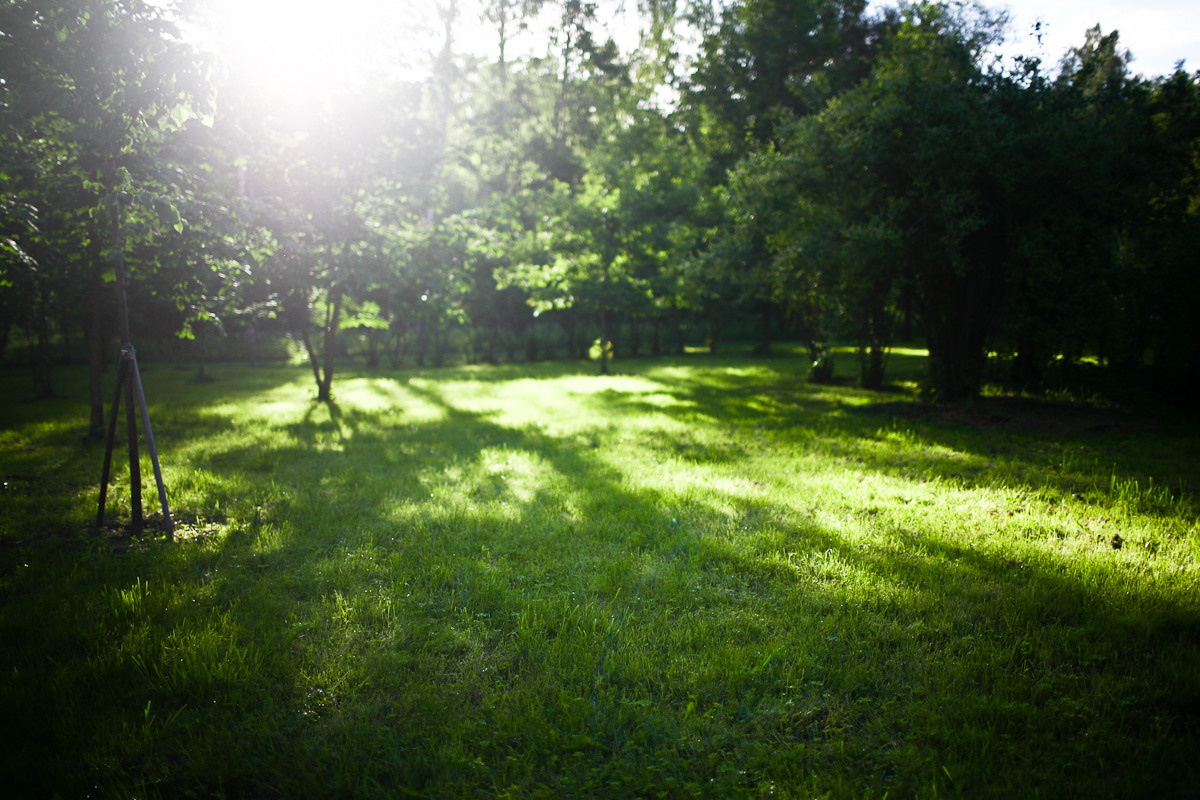 Прежде чем ты пришел. Виктория Дини. Арт-фотография