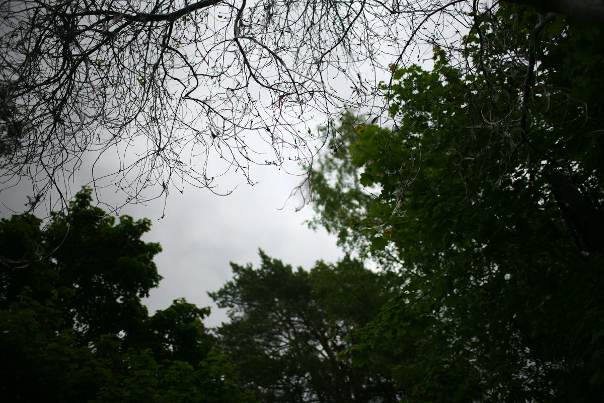 Прежде чем ты пришел. Виктория Дини. Арт-фотография