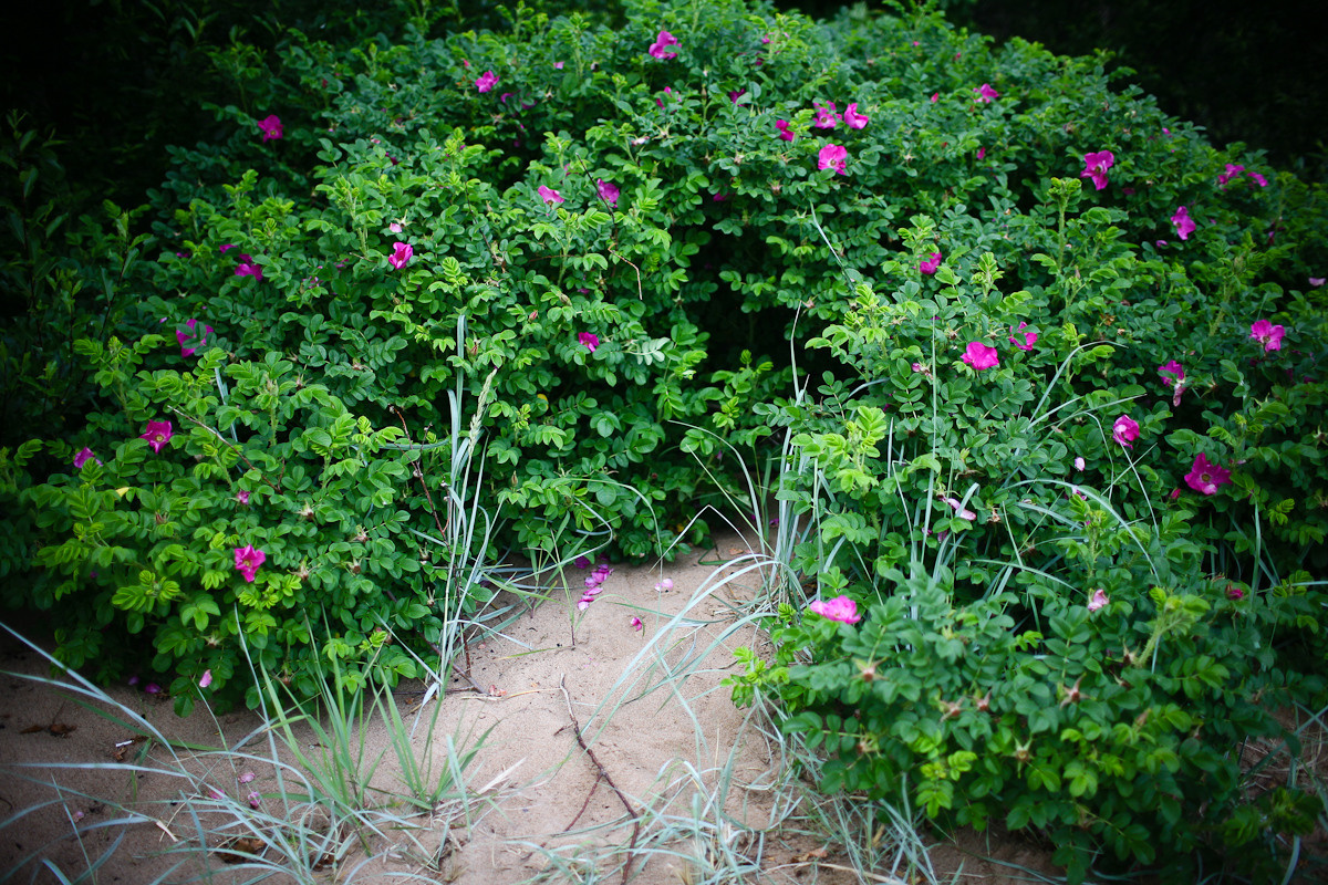 Прежде чем ты пришел. Виктория Дини. Арт-фотография