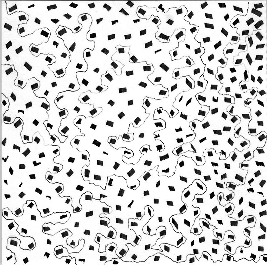 Paintings. Portrait & Brand Photographer in Bradford, West Yorkshire