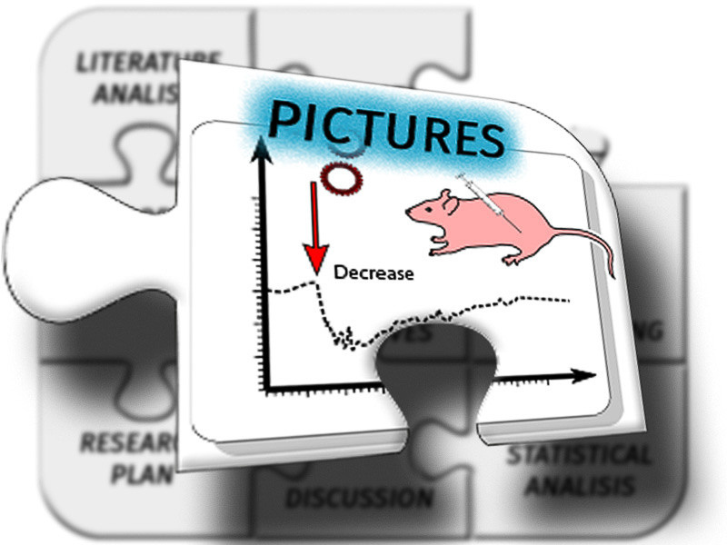 Graafinen suunnittelu. Kinosura Creative Studio Helsingissa ja Kuopiossa
