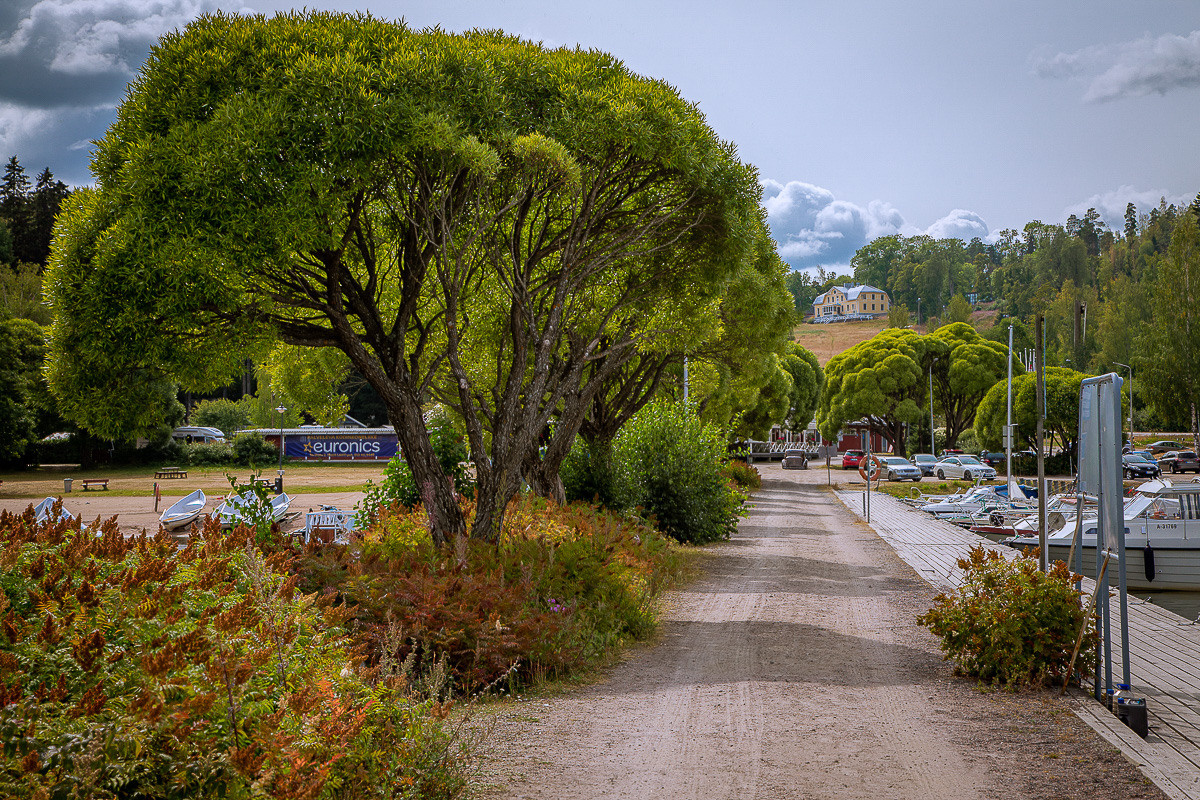 Luontokuvat. Kinosura Creative Studio Helsingissa ja Kuopiossa