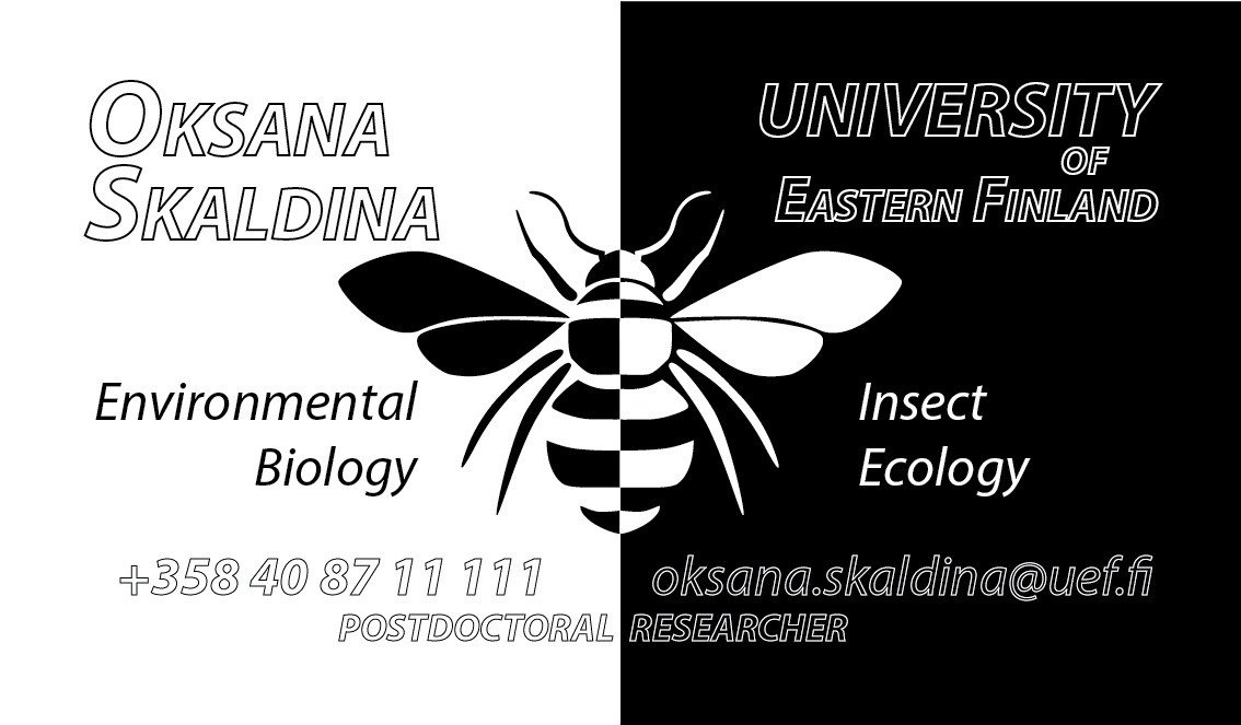 Graafinen suunnittelu. Kinosura Creative Studio Helsingissa ja Kuopiossa