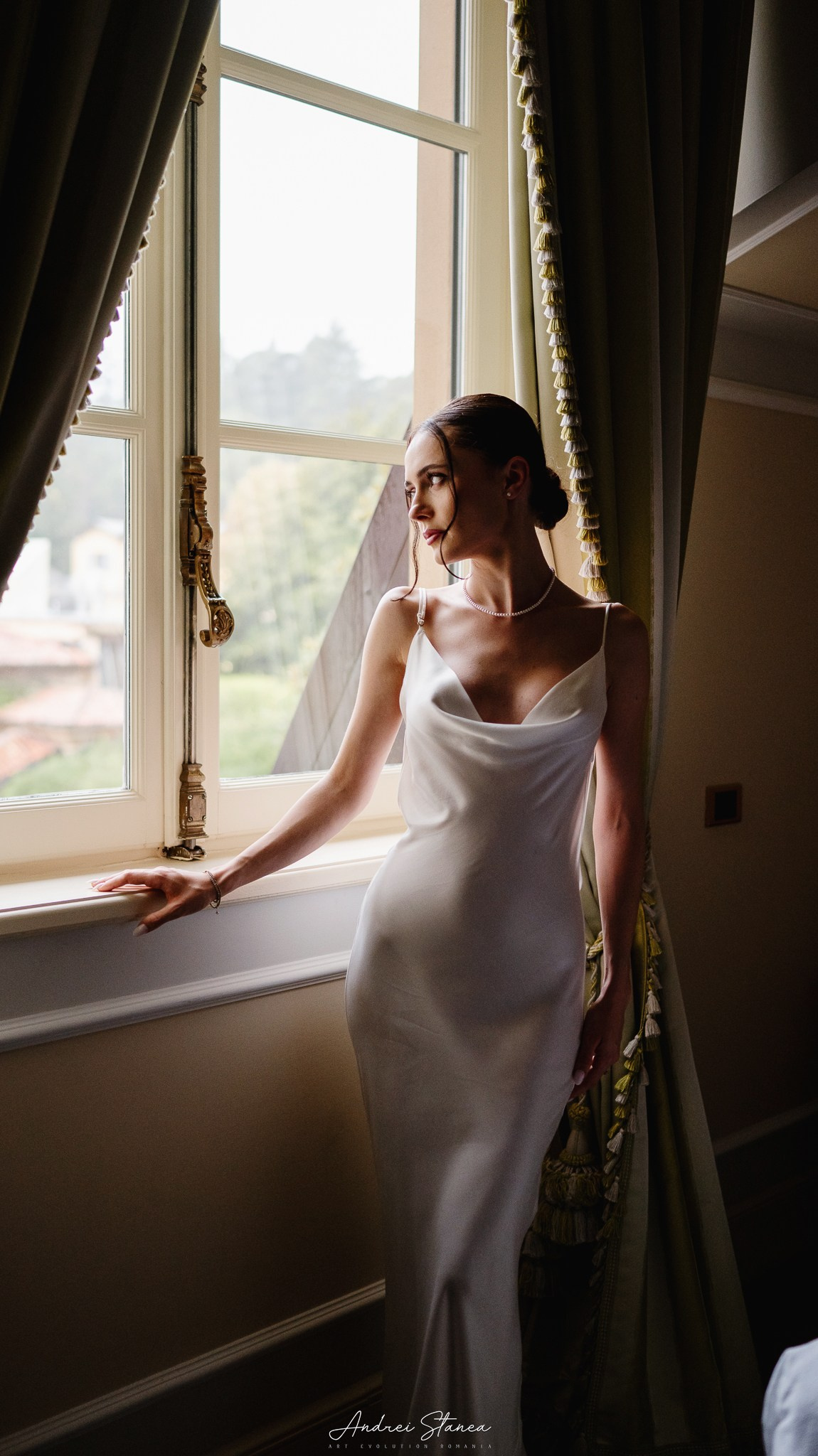 Portofolio. Andrei Stanea