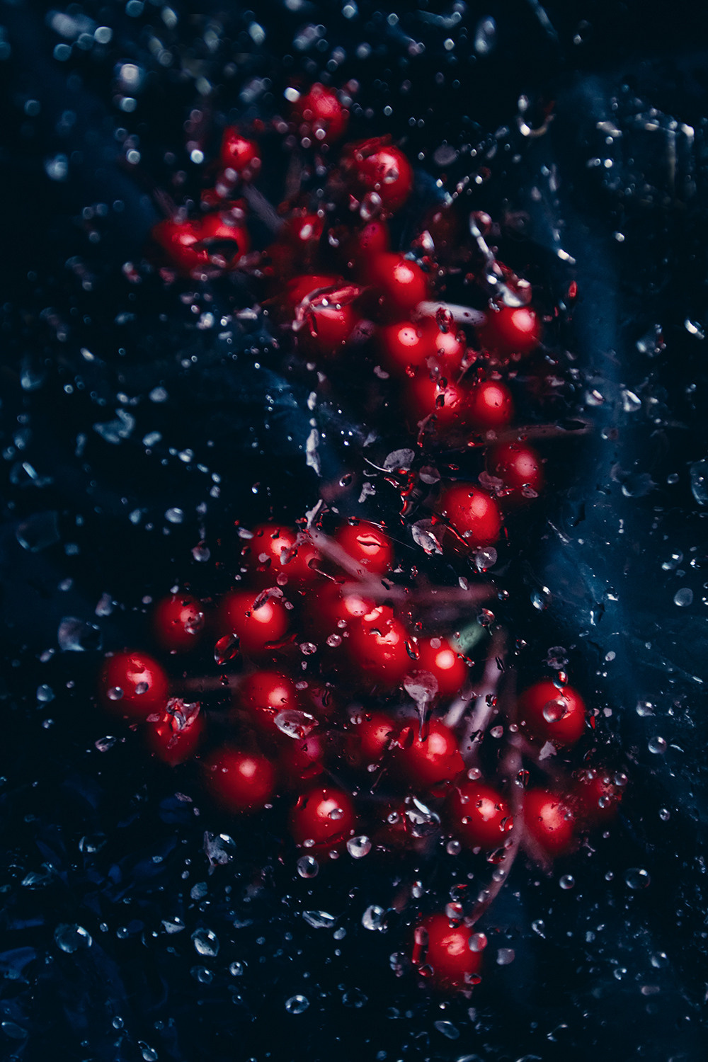 Nostalgia. Lolly Shine. Contemporary digital artist