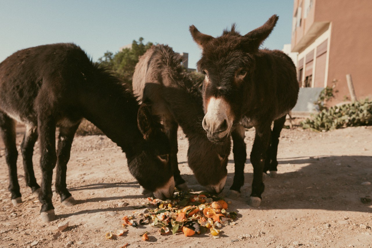 Travel and lifestyle photography. Dana Lišková — Empathetic Photographer | Introspective Artist |Neurodivergent Coach | Founder of Artepy.cz