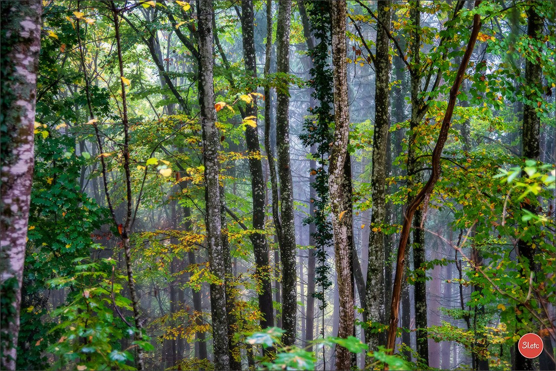 Maria Lang Andlau. Photographe à Strasbourg | Portraits, Studio, Enfants, Événements