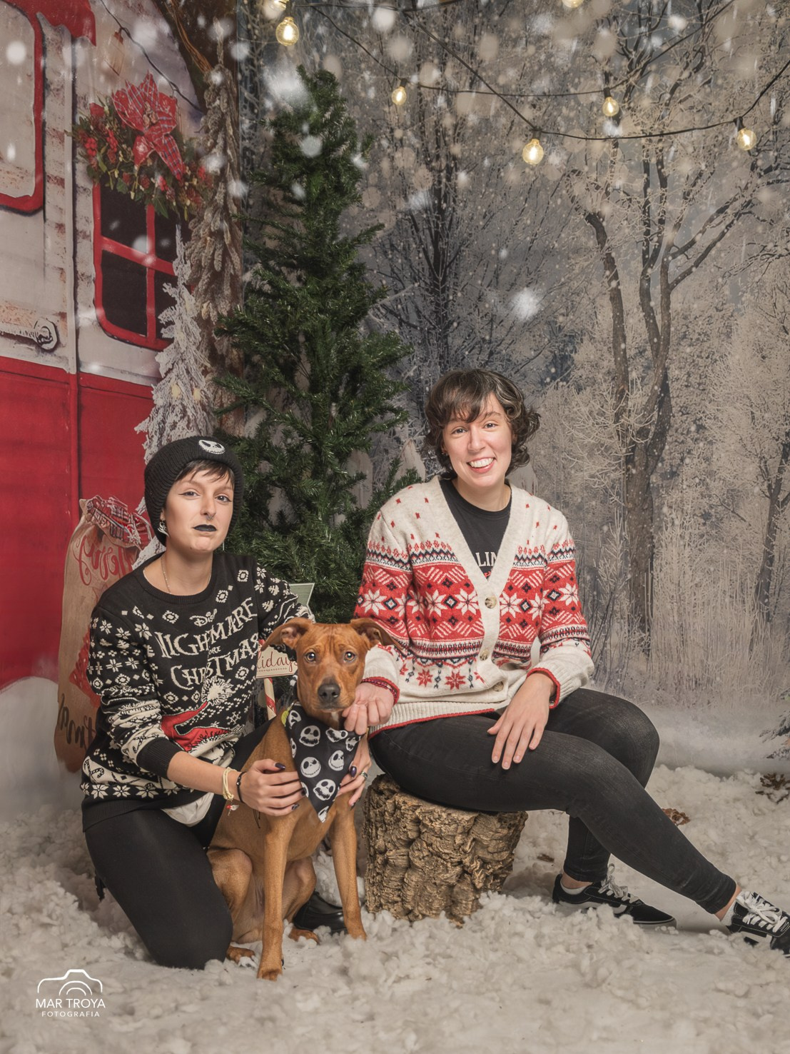 Navidad 2025. Fotos con huella, fotografía de perros y mascotas en Sevilla