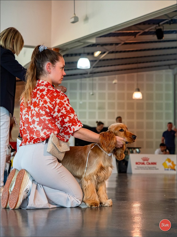 Expo canine 🇫🇷 Valence 03-04/05/2025. Photographe à Strasbourg | Portraits, Studio, Enfants, Événements