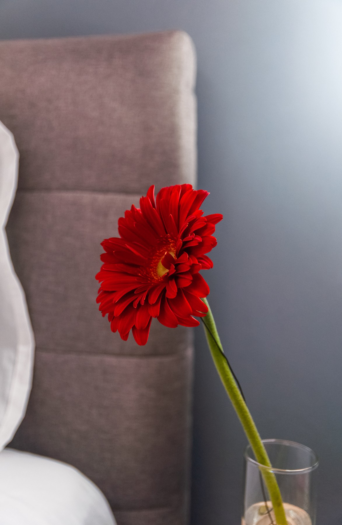 Michail Suit. Photograper in Chania, Crete