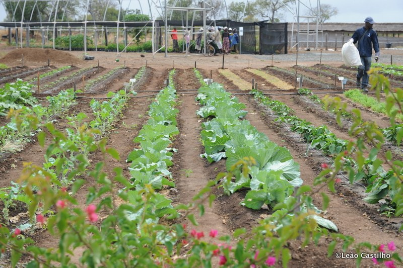 Photos of volunteer work in Mozambique. Simbahalu
