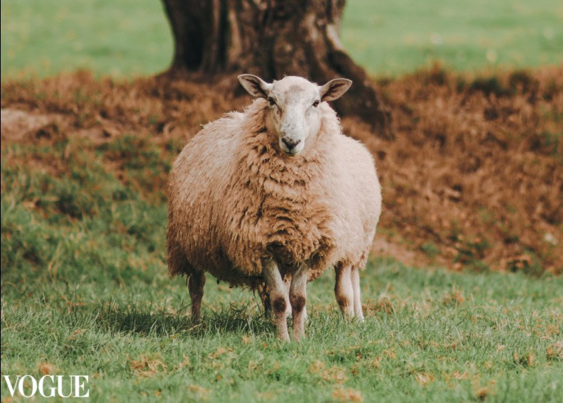 PhotoVogue. Lifestyle & Documentary Photography in Bristol, Bath & London — def0cused