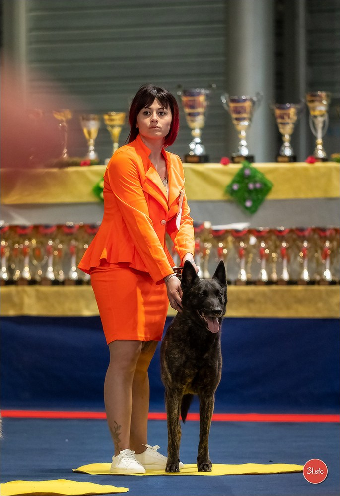 Expo canine   🇫🇷   Mulhouse 5-6/04/2025. Photographe à Strasbourg | Portraits, Studio, Enfants, Événements