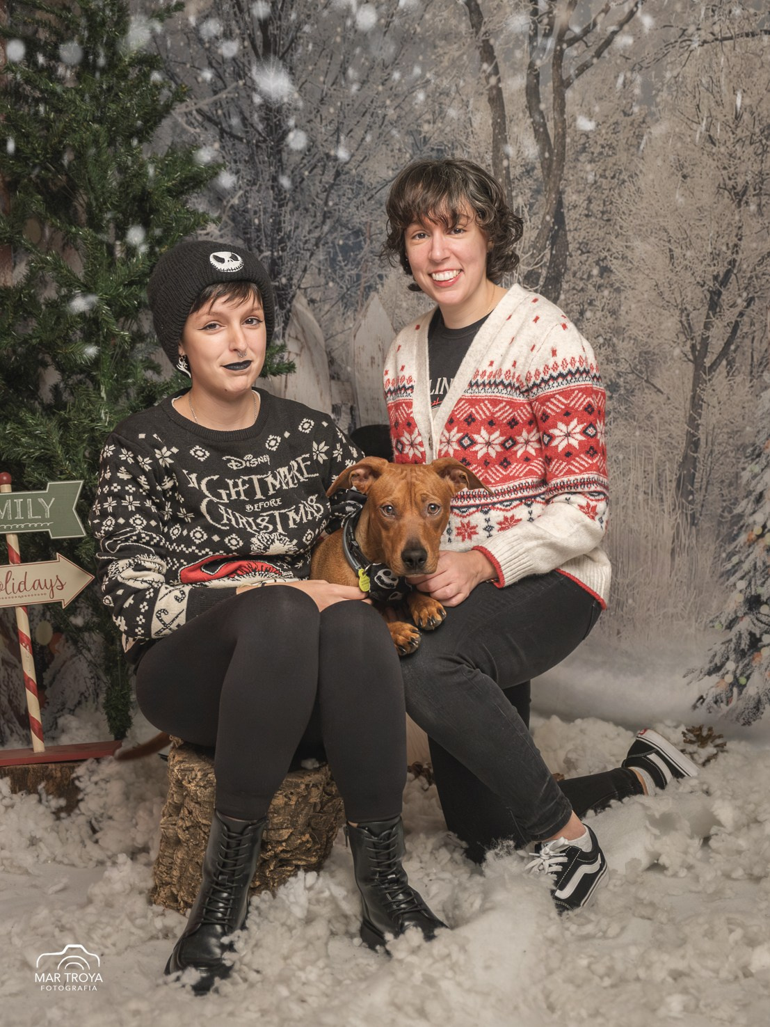 Navidad 2025. Fotos con huella, fotografía de perros y mascotas en Sevilla