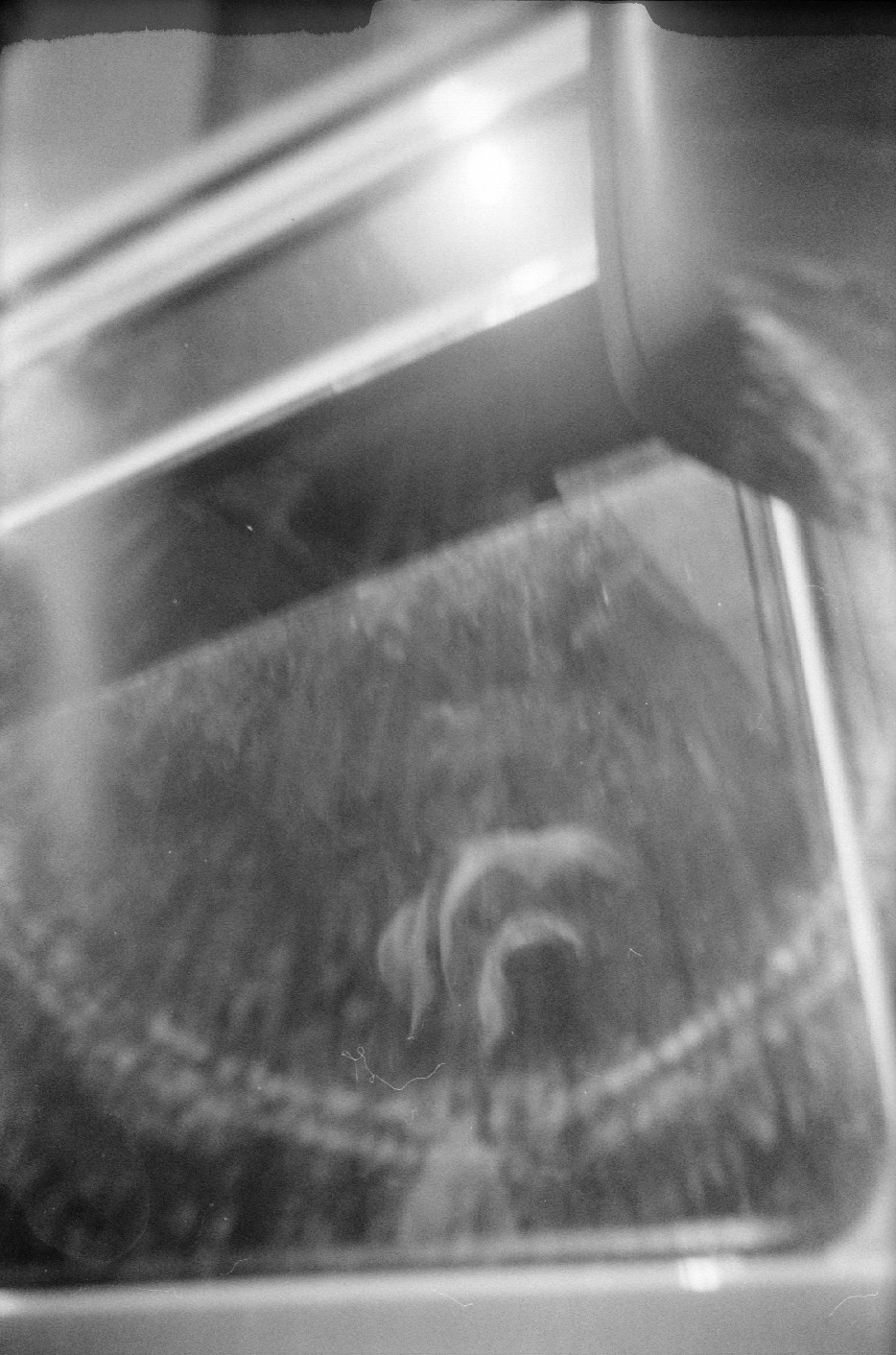 Blurry blues. Anastasia Musinova