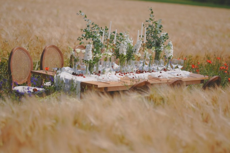 Cireșul Sălbatic. Stefan Teodorescu — Fotograf de Nunta