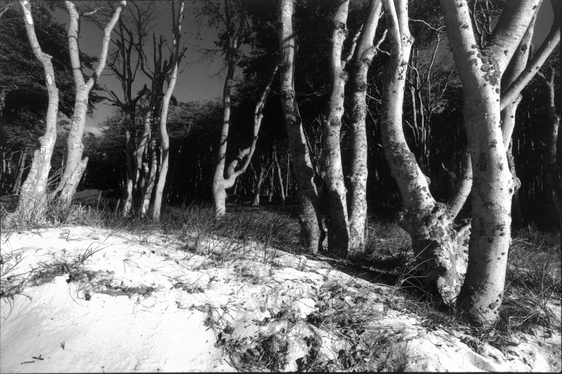 Sacra Natura. Katerina Kiper Photography