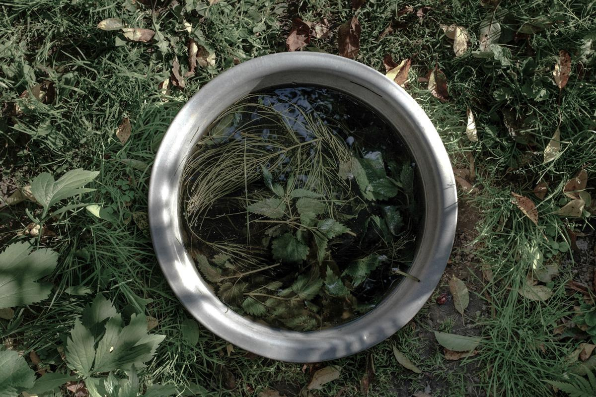 Motherland. Documentary photographer, visual artist based in Germany