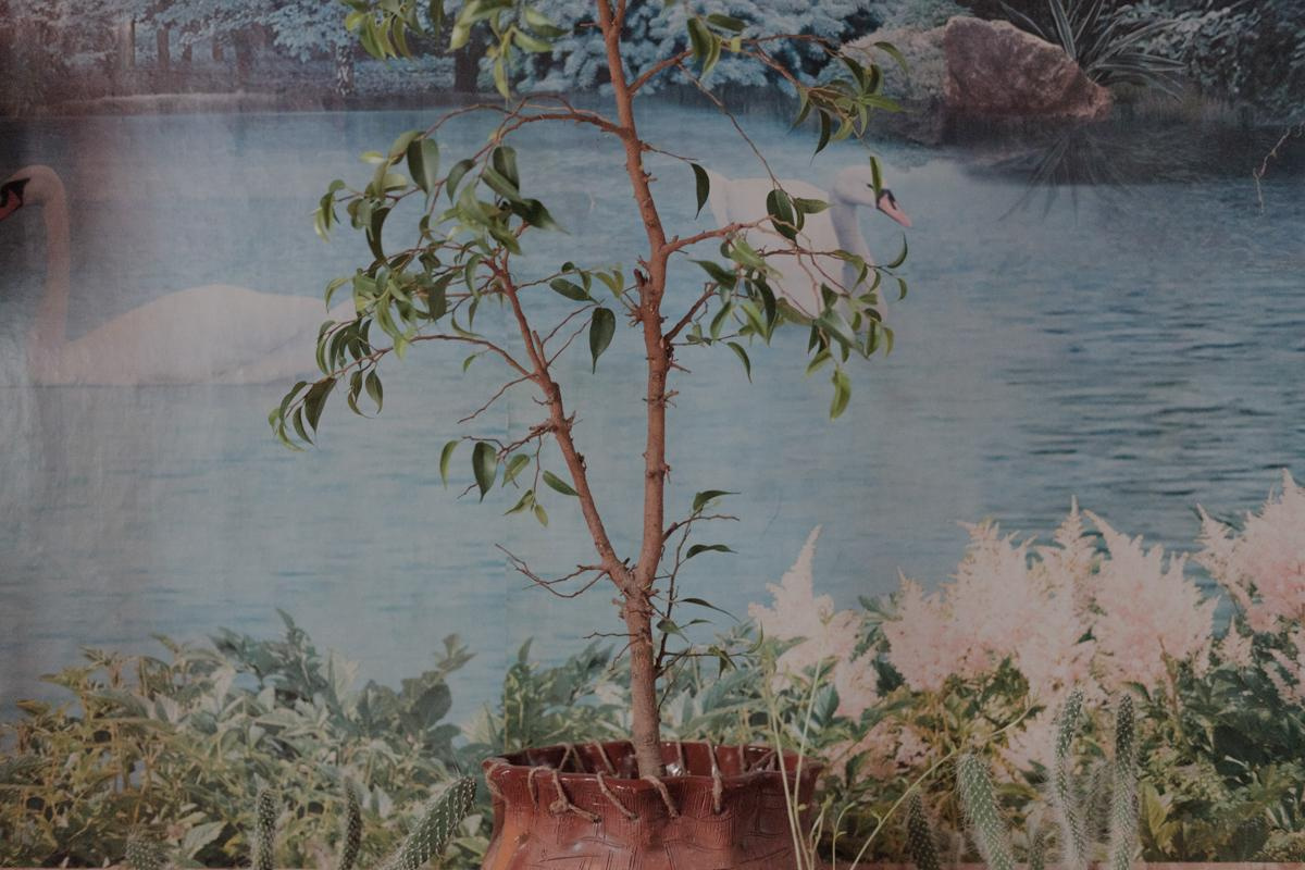 Motherland. Documentary photographer, visual artist based in Germany