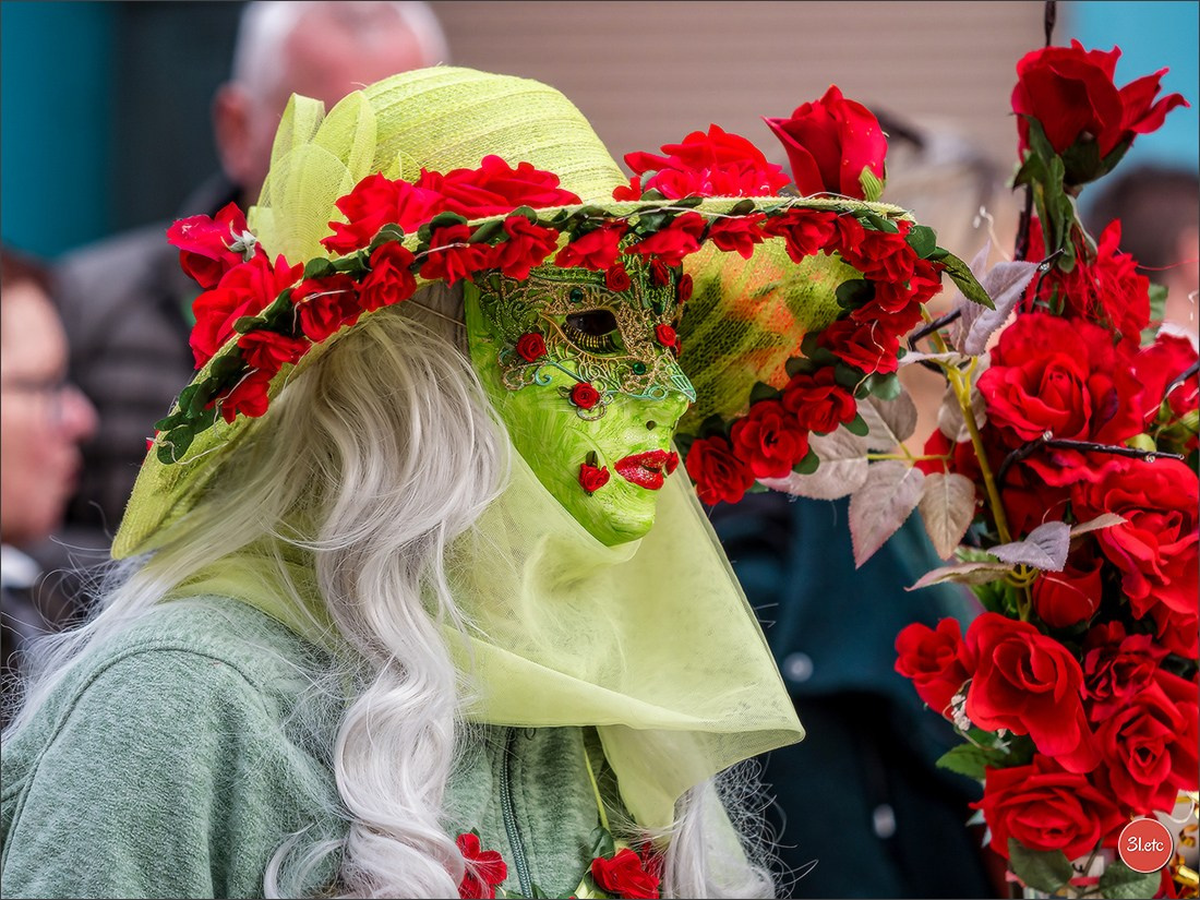 Carnaval venitien de Rosheim 2024. Photographe à Strasbourg | Portraits, Studio, Enfants, Événements