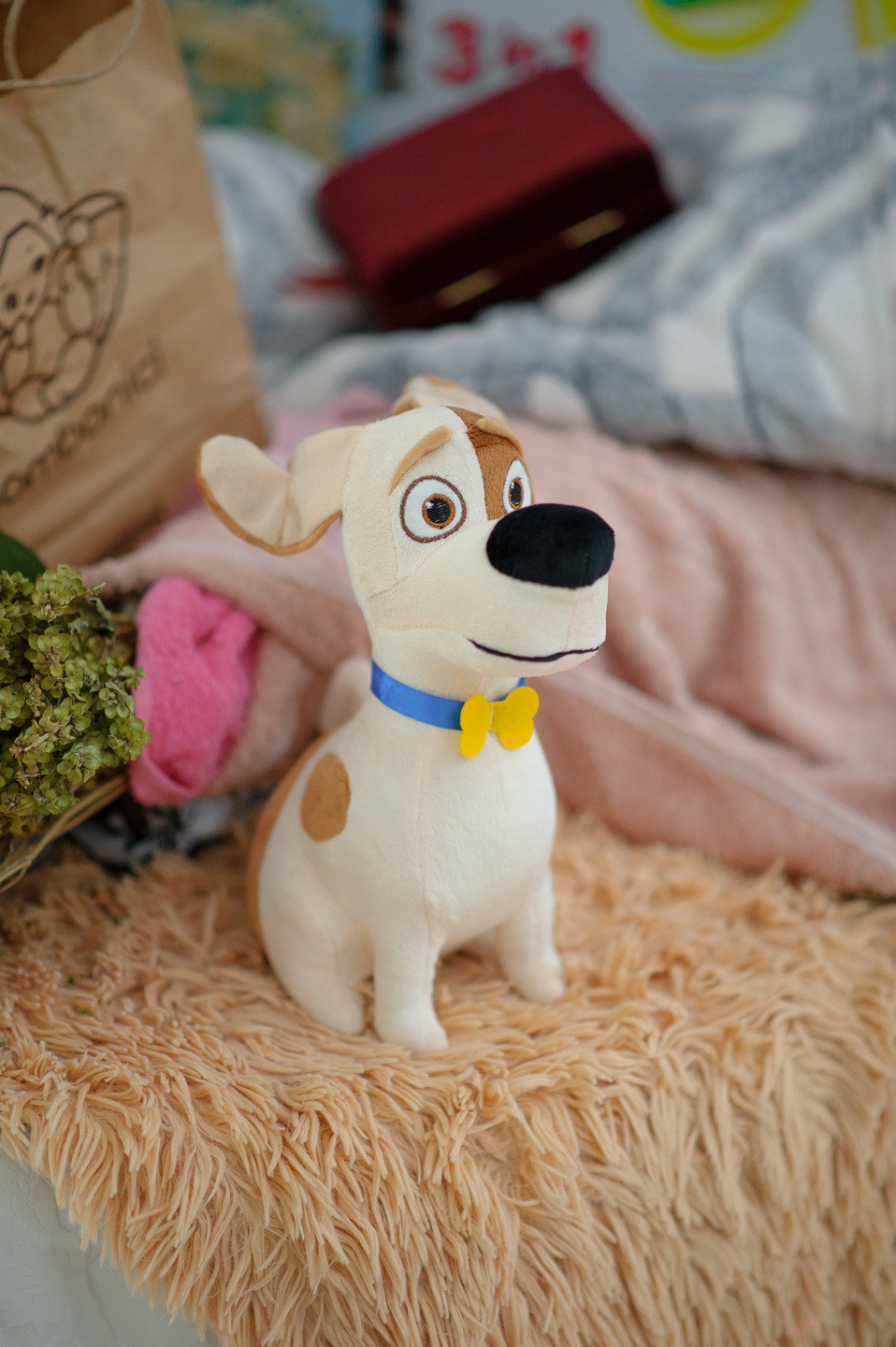 Кумэтрия Катюши. Семейный фотограф в Кишинёве THOMAS SHTIFT