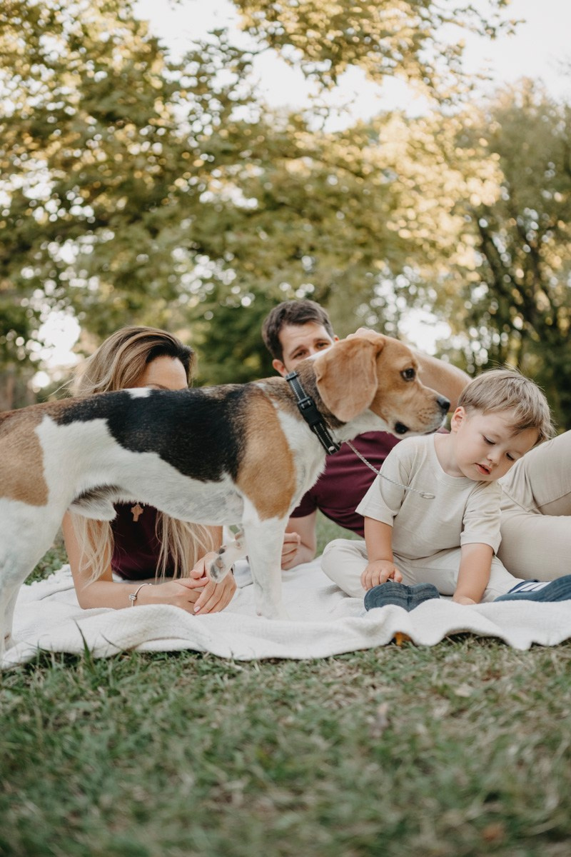 Aleksandra, Lazar, Marin i Leo / porodicno fotografisanje napolju. Deciji i porodicni fotograf u Beogradu Oksana Skendzic
