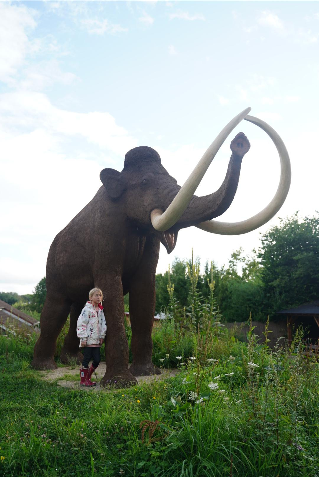 Семейный палаточный лагерь «Путешествие в Прошлое». Семейные лагеря в Европе с Ниной Янечковой и Ириной Зиновьевой