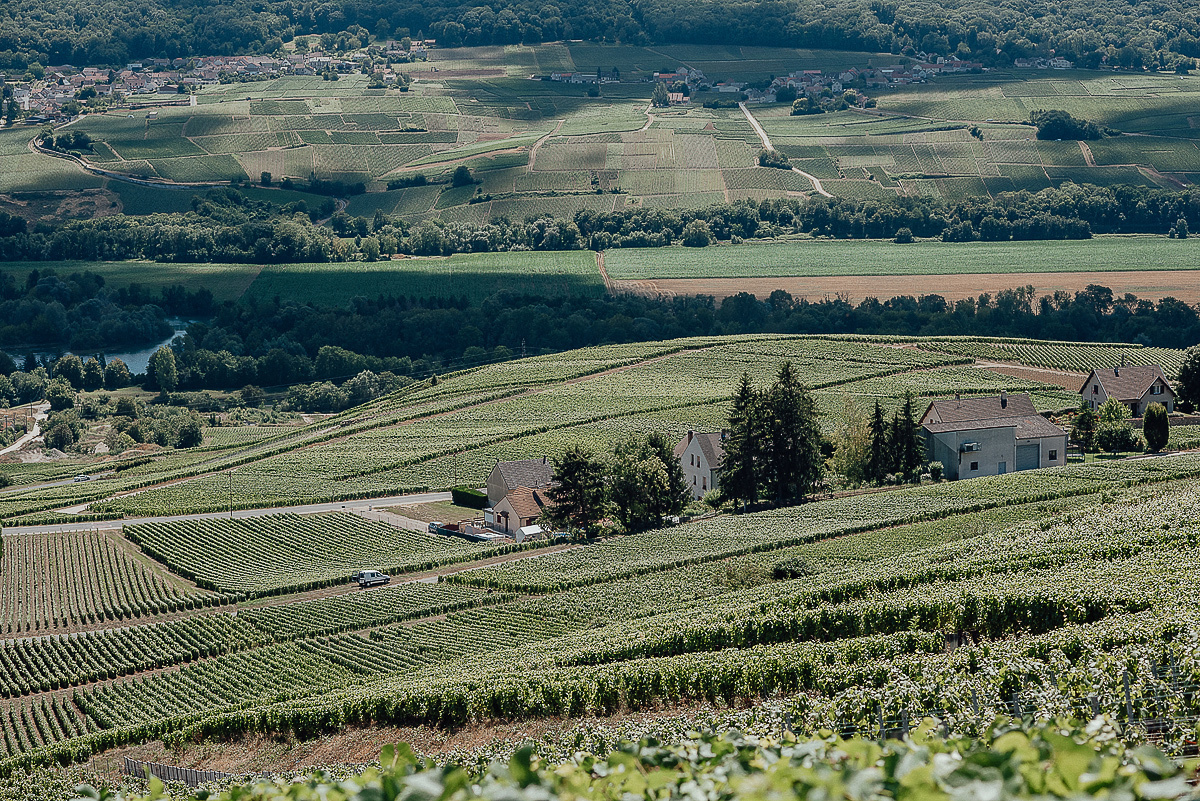 Nathalie Liebart Champagne. Ksenia Marchand/ Lifestyle photographer in Paris