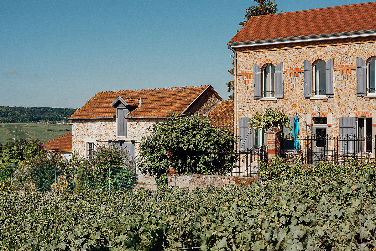 Nathalie Liebart Champagne. Ksenia Marchand/ Lifestyle photographer in Paris