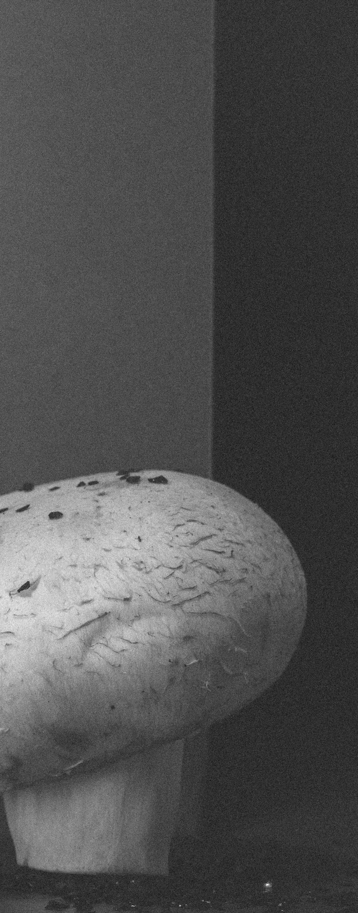 Factory (2023). Антонова | фото