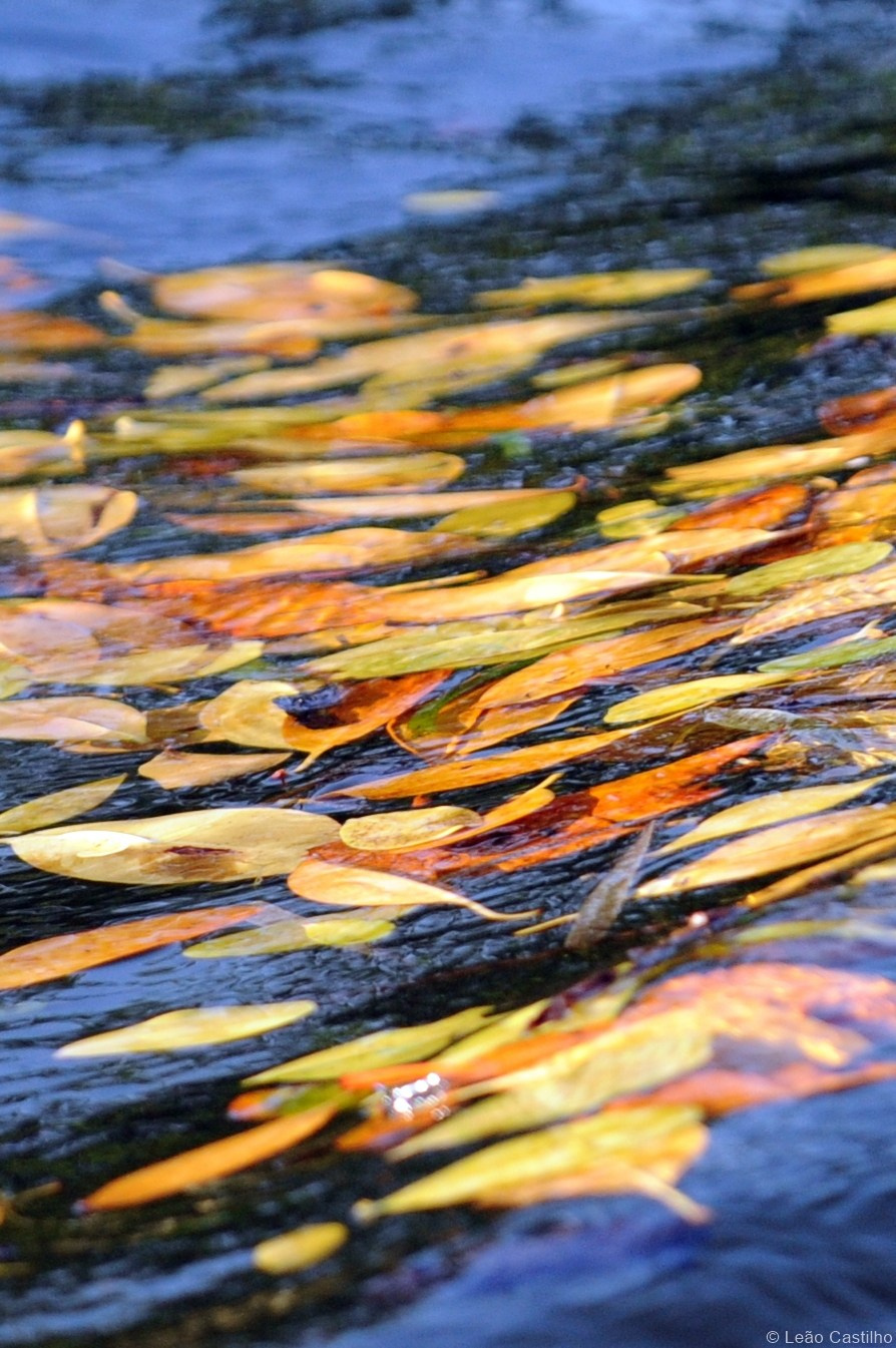 Photos from Mozambique. Simbahalu