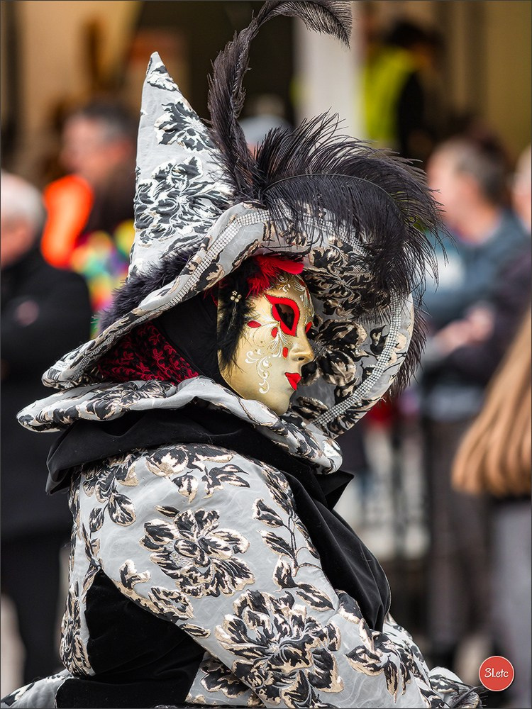 Carnaval venitien de Rosheim 2024. Photographe à Strasbourg | Portraits, Studio, Enfants, Événements
