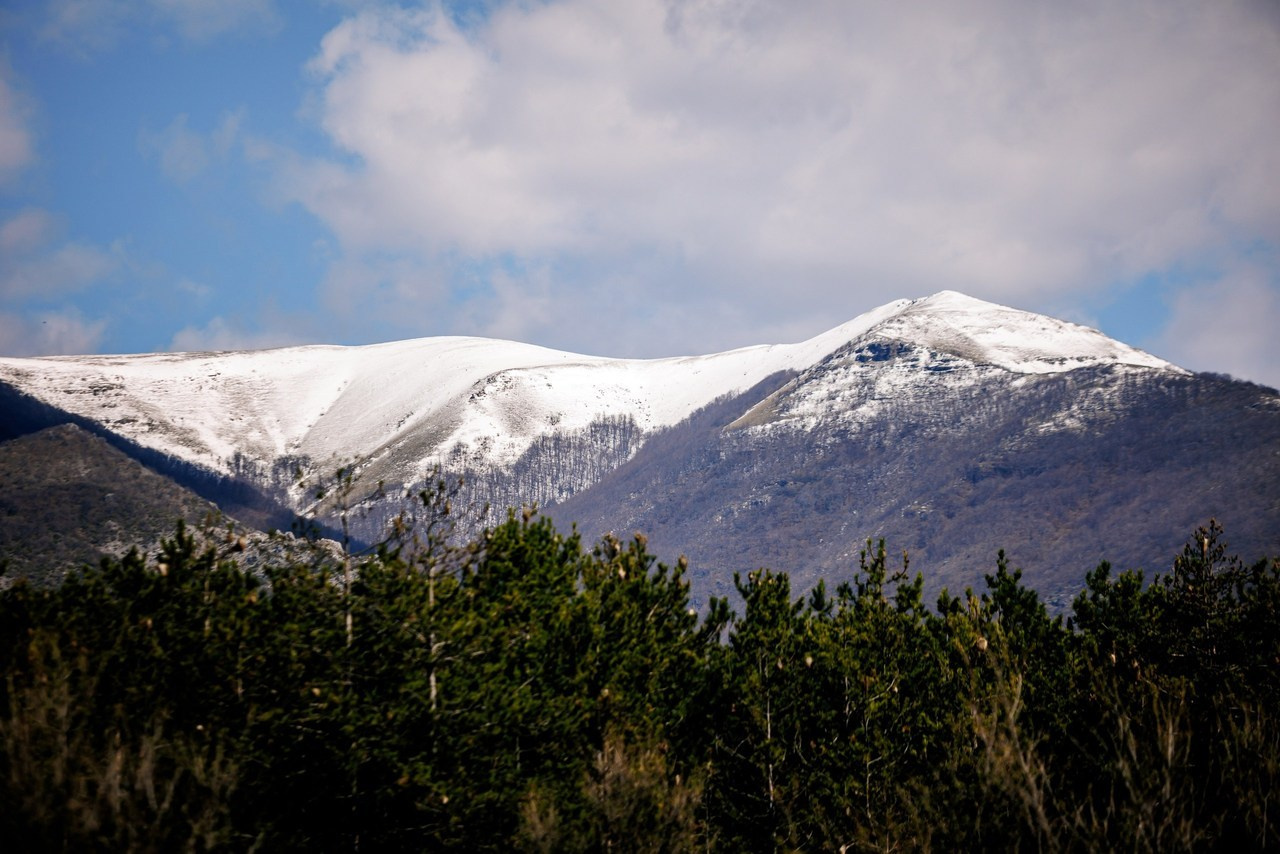 Ревюта. Начало