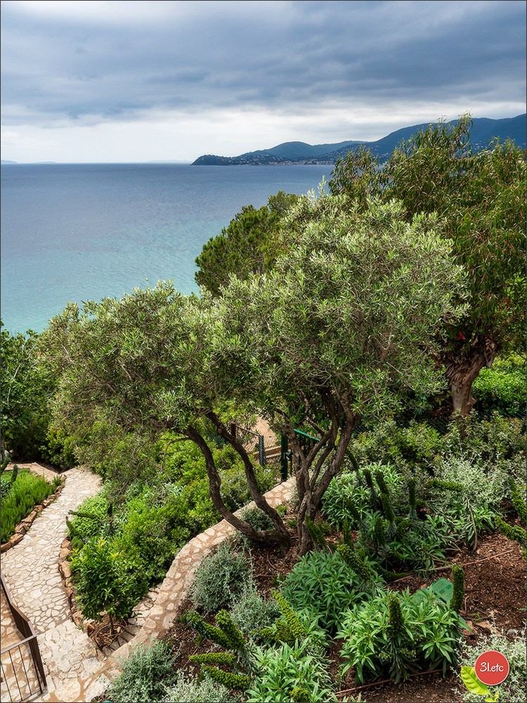 Cote d'Azur. Cannes Film Festival. Monte Carlo Casino. France's best p. Photographe à Strasbourg | Portraits, Studio, Enfants, Événements