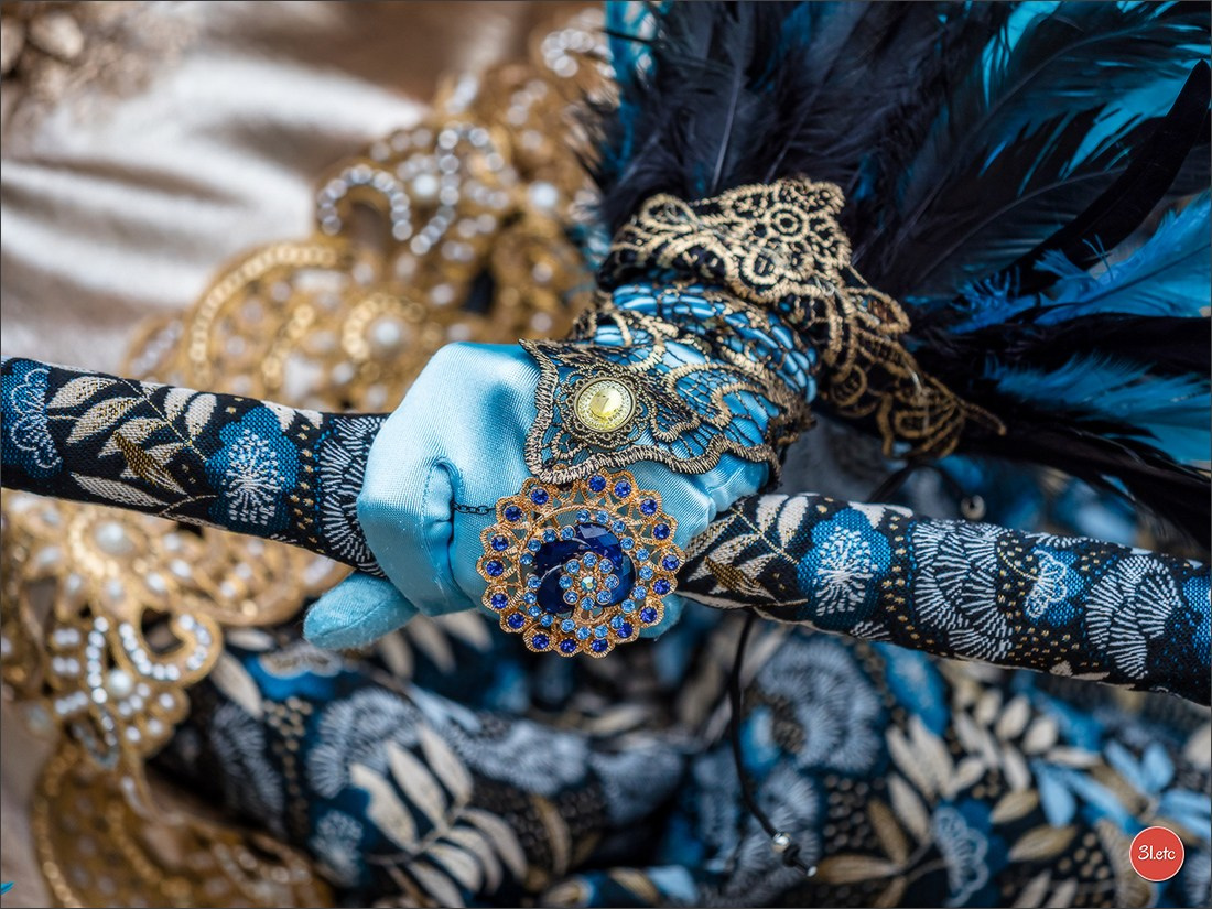 Carnaval venitien de Rosheim 2024. Photographe à Strasbourg | Portraits, Studio, Enfants, Événements