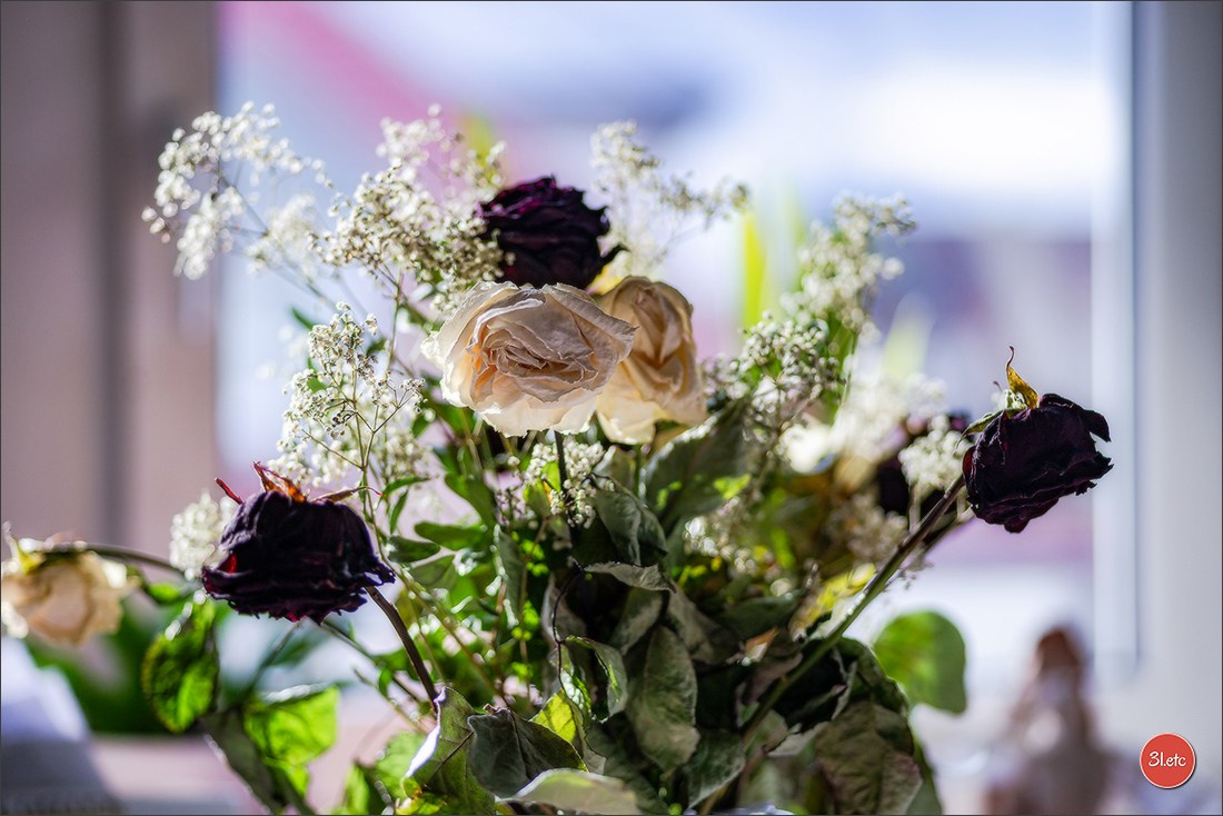 Les fleurs fanées. Photographe à Strasbourg | Portraits, Studio, Enfants, Événements
