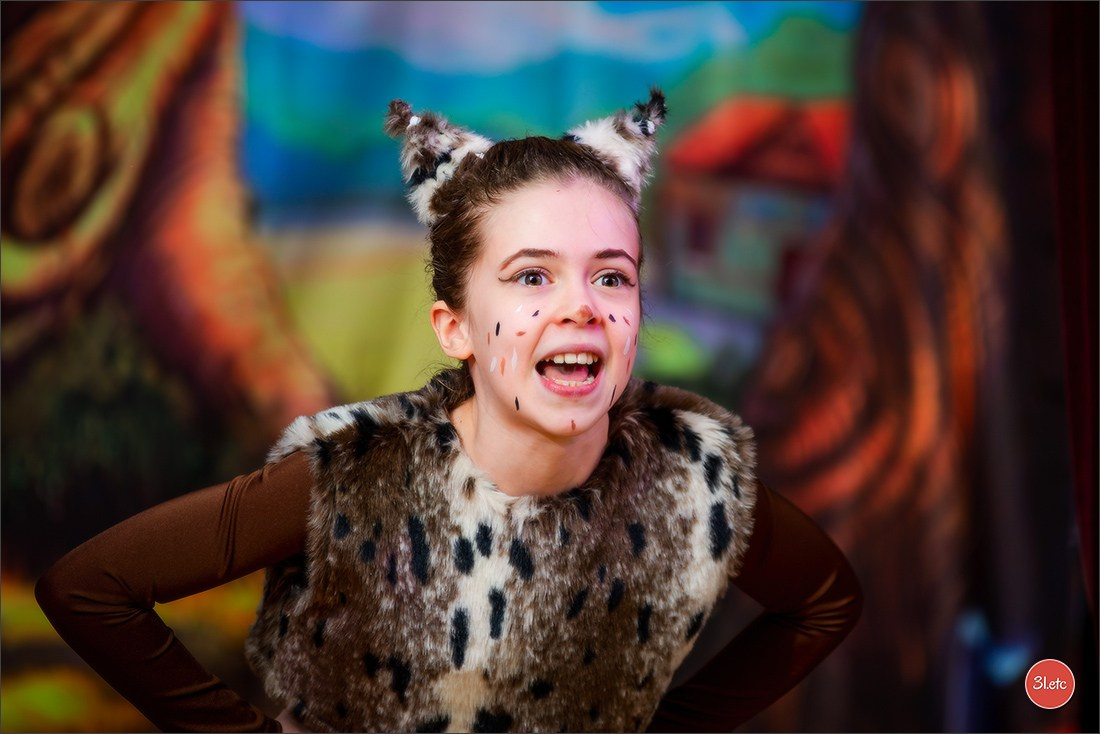 Concerts . Carnavals . Festivals. Photographe à Strasbourg | Portraits, Studio, Enfants, Événements