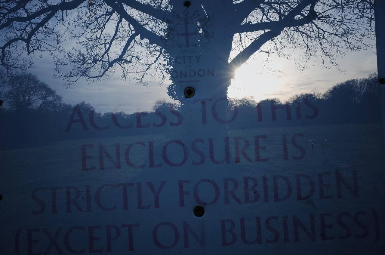 London L(ove) (ust) Letters. Виктория Дини. Арт-фотография