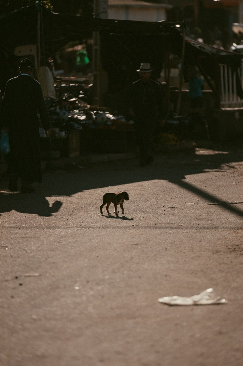 Travel and lifestyle photography. Dana Lišková — Empathetic Photographer | Introspective Artist |Neurodivergent Coach | Founder of Artepy.cz