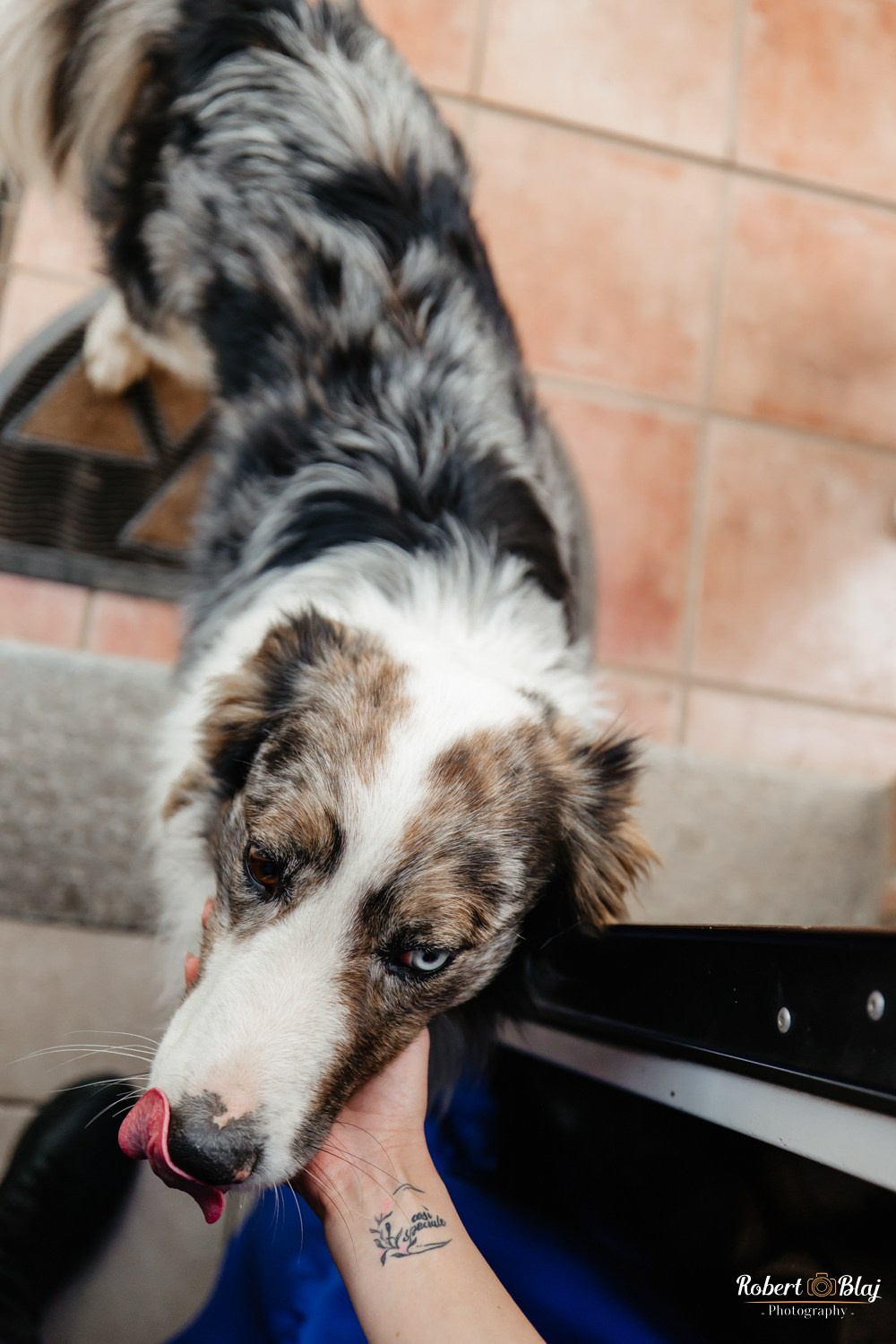Leonardo (Italy). Robert Blaj - Fotograf Nuntă Iași