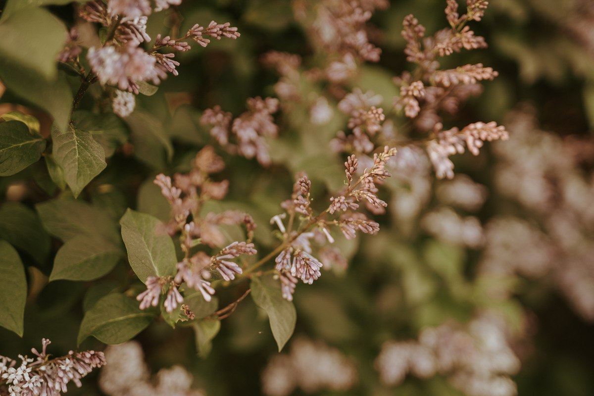 Sesja narzeczeńska Ani i Jaśka. Karkowskafoto - fotografia miłości
