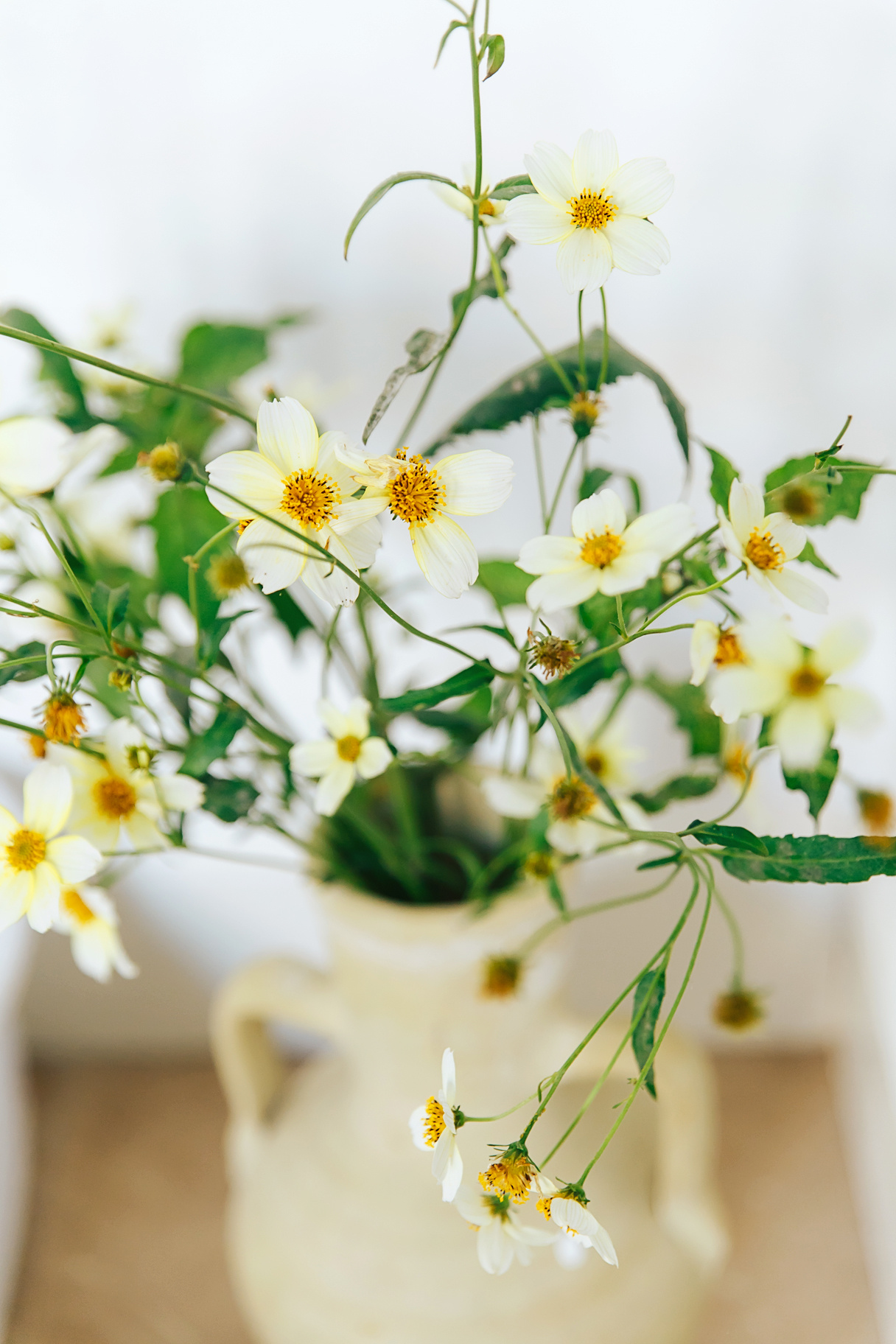 Фотосессия в городе Ситжес, побережье Коста Дорада, Барселона, Испания. Фотограф в Барселоне, в Испании, по всей Европе - Андрей Пасечник. Тел